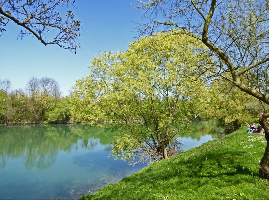 La Marne près de Noisy-le-Grand