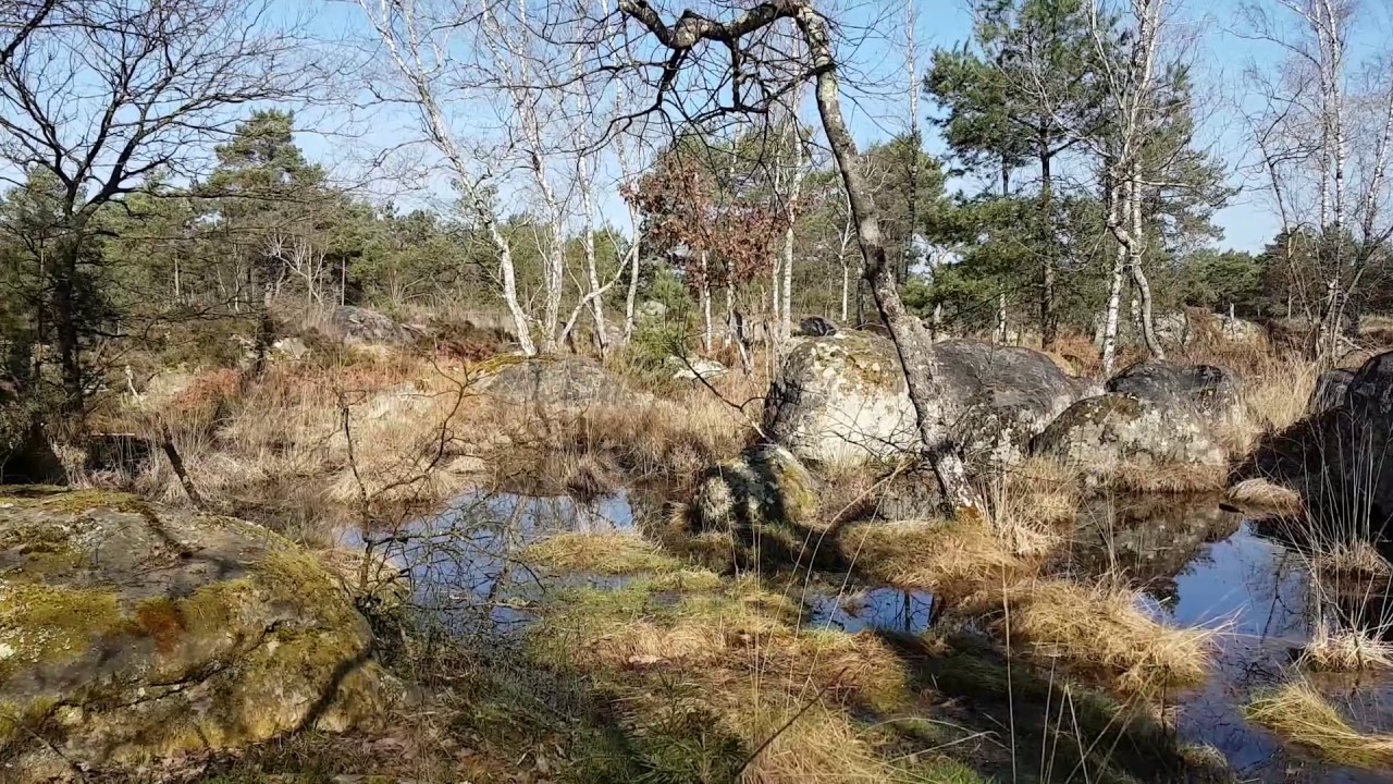 Platières des Béorlots and Mare des Couleuvreux