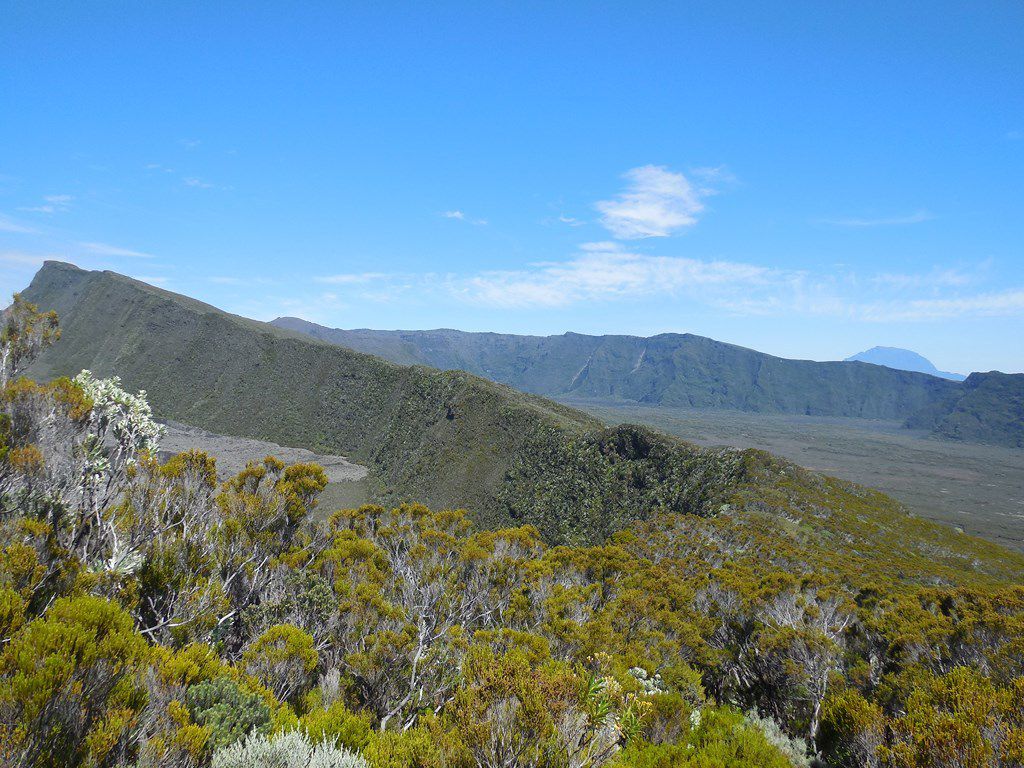 Nez Coupé de Sainte-Rose