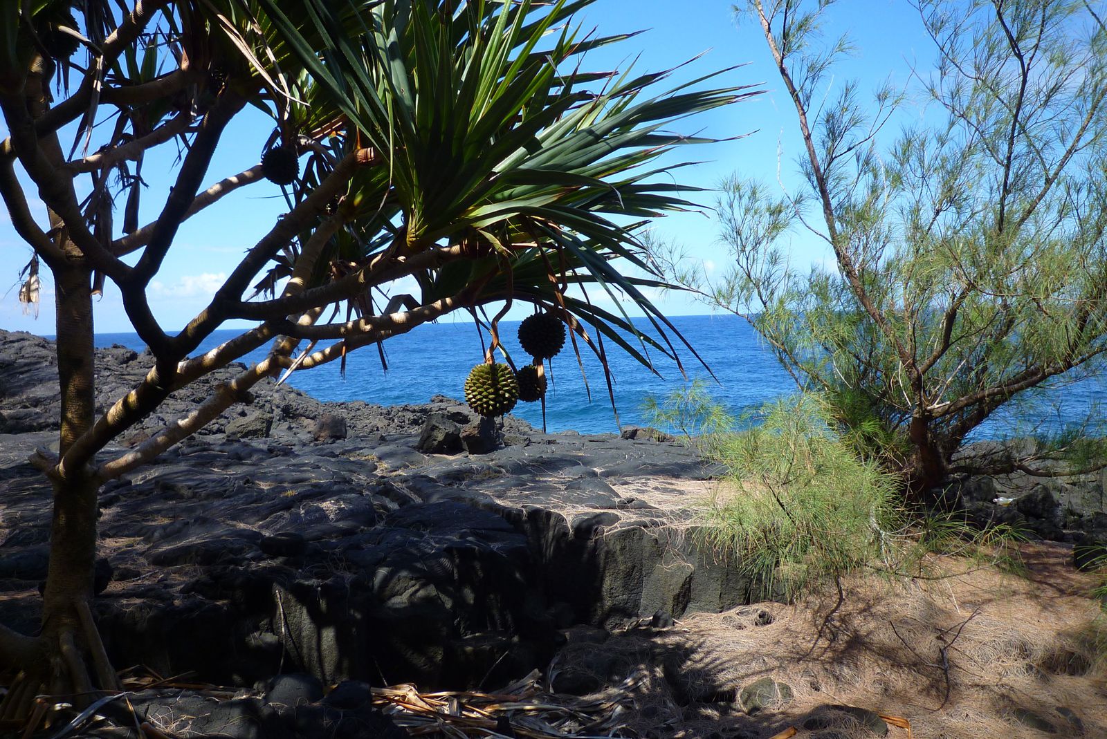 Volcanic garden of Saint-Philippe