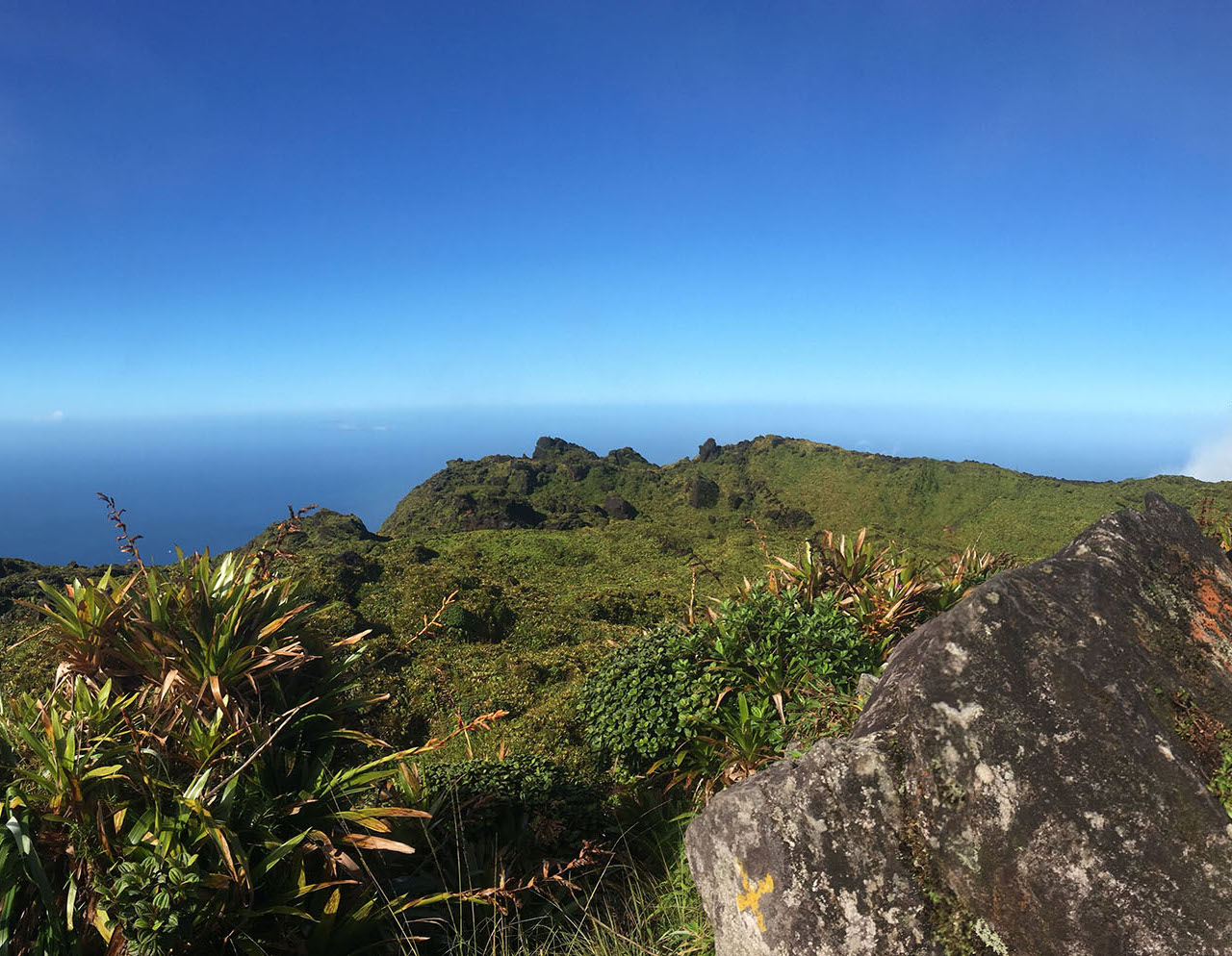 Montagne Pelée via Grande Savane
