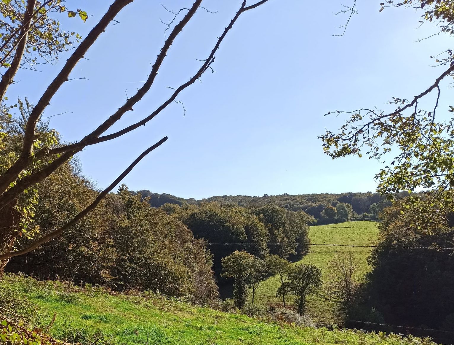 Bocage and hills of Tourlaville