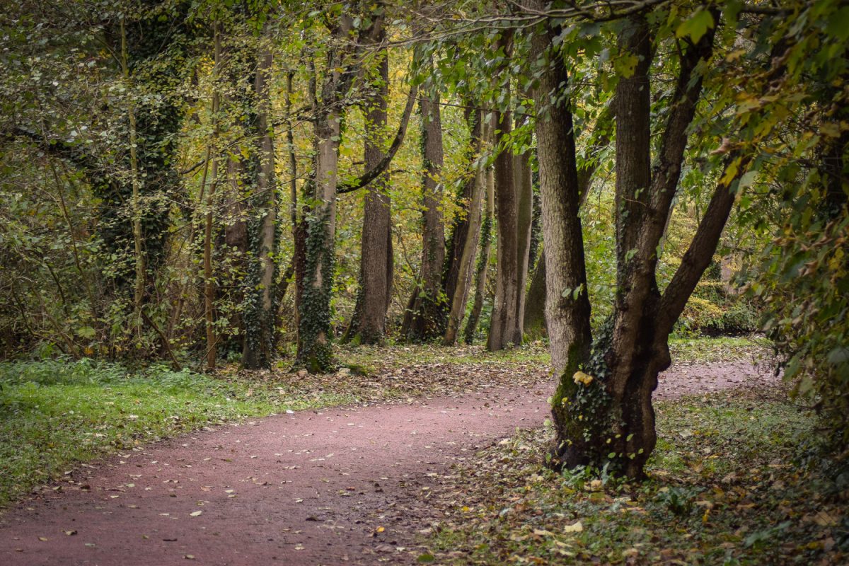 Bois des Amis de Jean Bosco