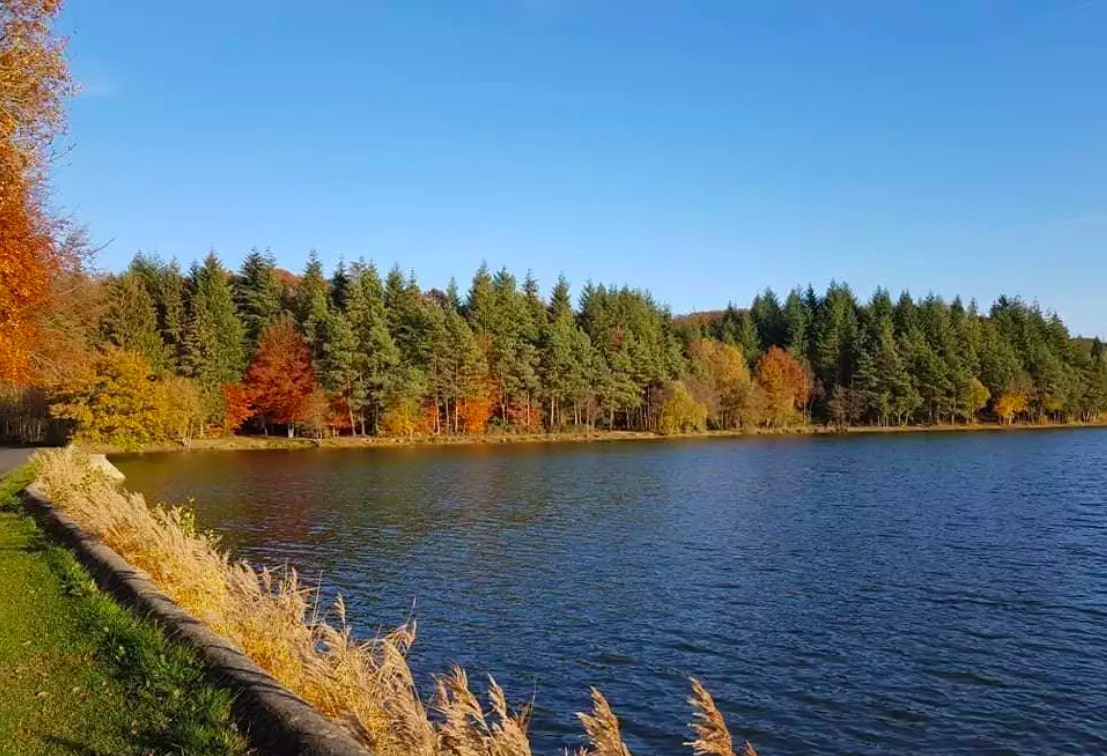 Chaumont Ponds and Bresolettes Glade