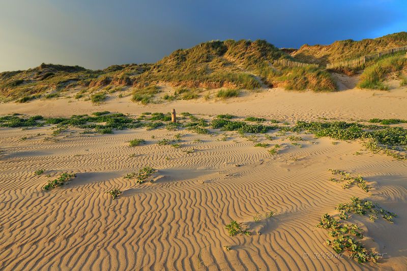 Dunes d'Hatainville