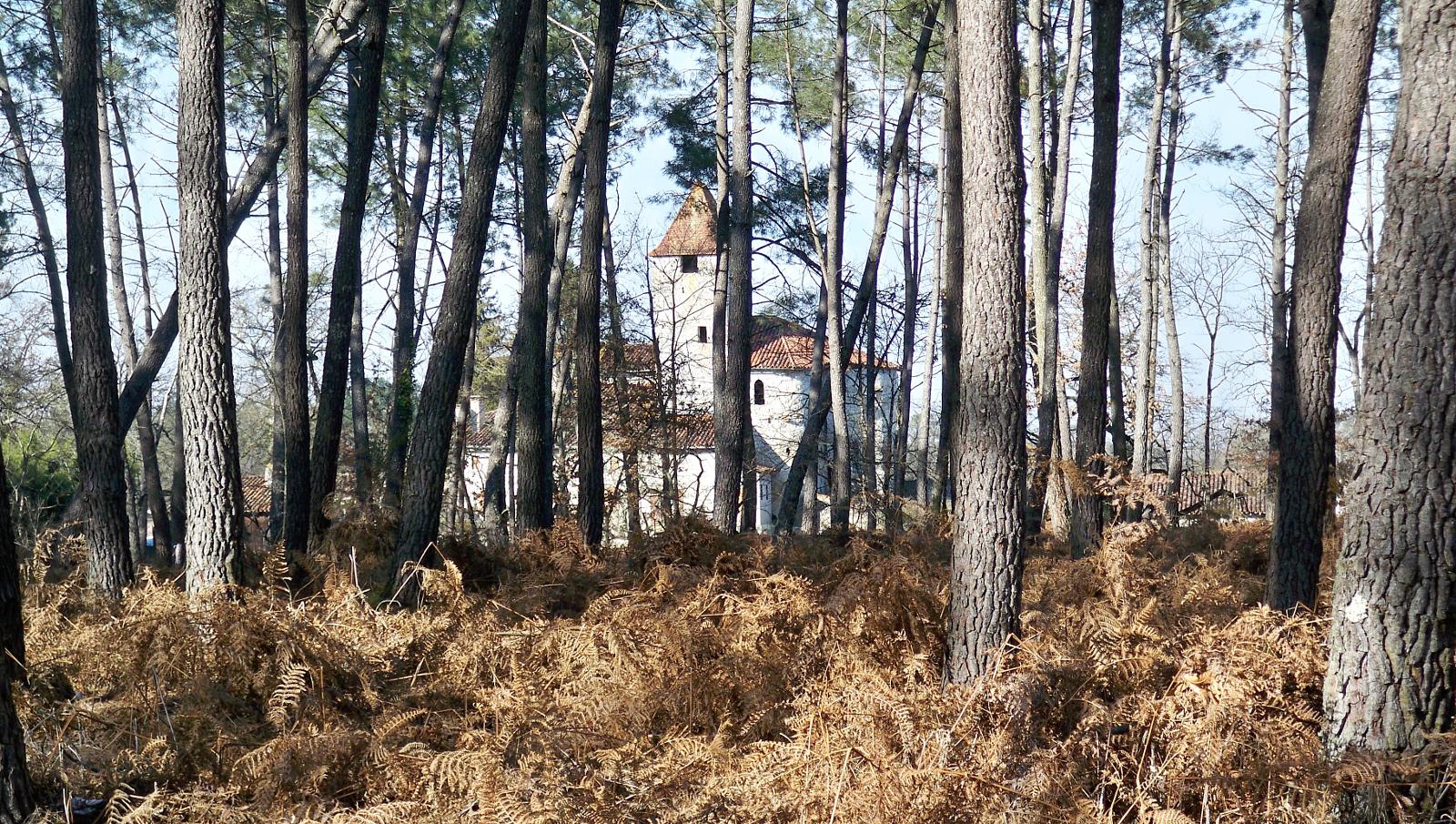 Between Saint-Justin and Douzevielle 