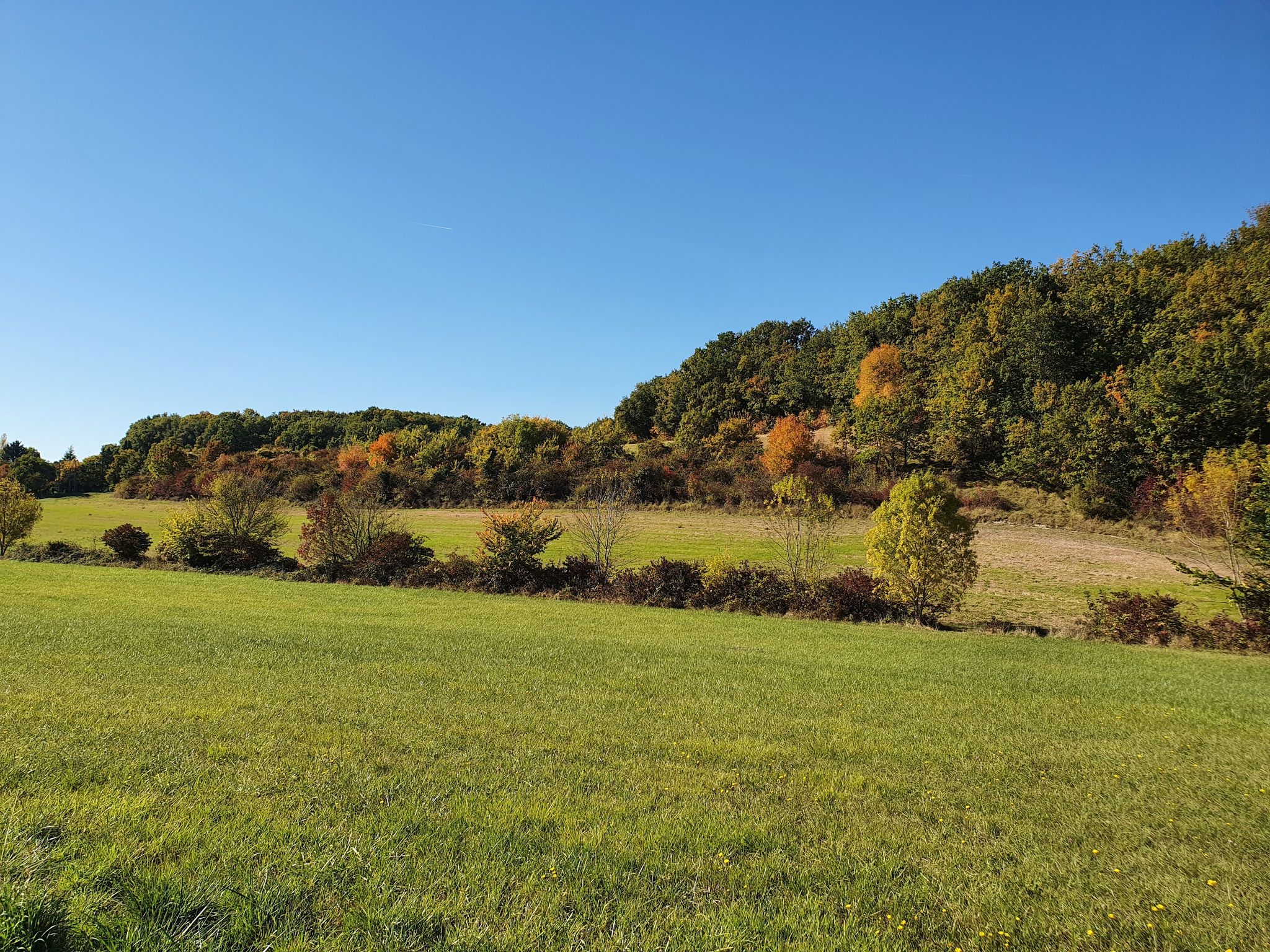 Bois de Chez Guillet