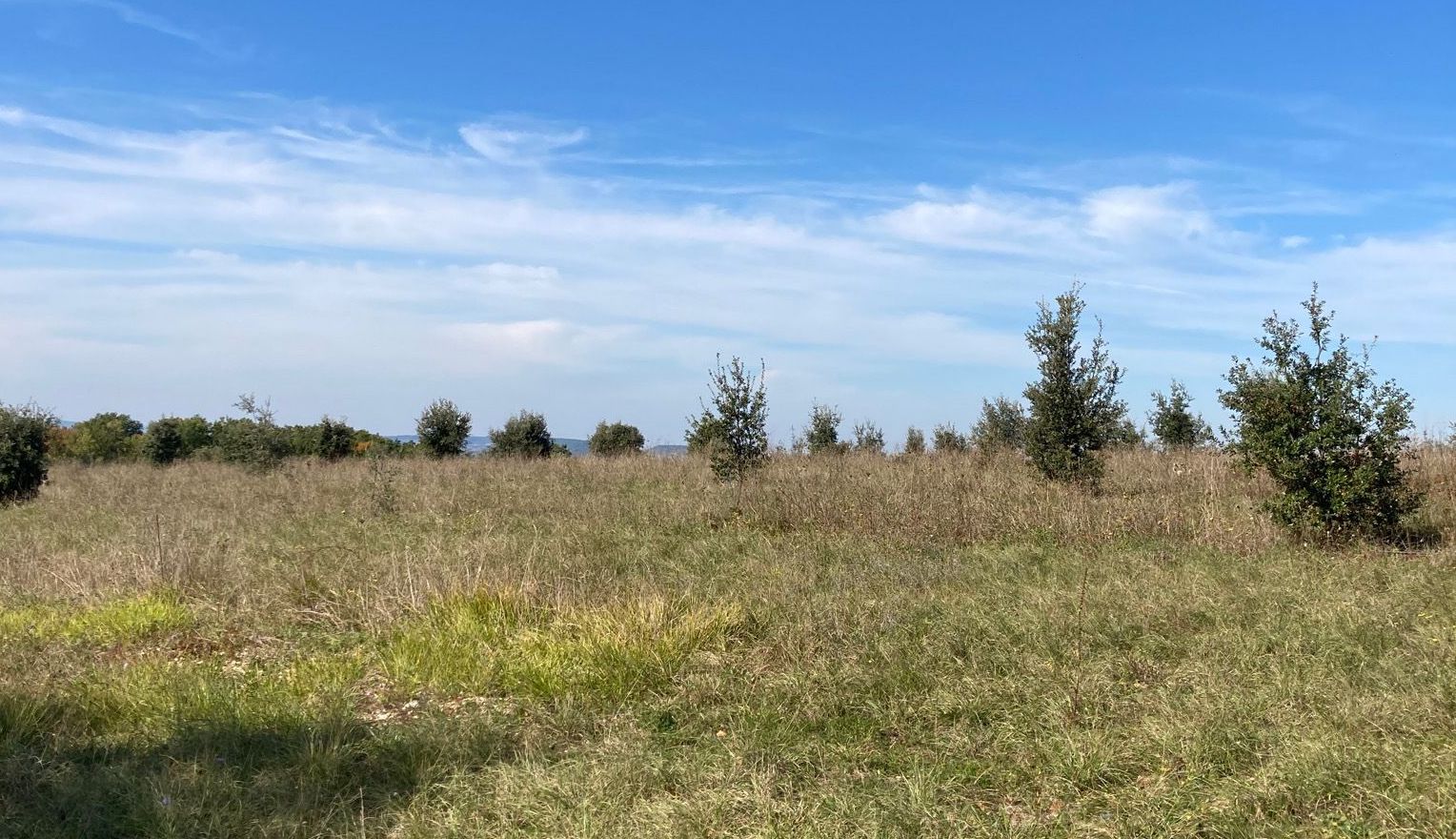 Combe de Bazérac and Escure