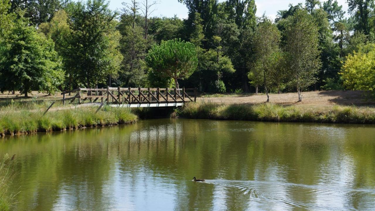 Circuit des Etangs in Gaillères
