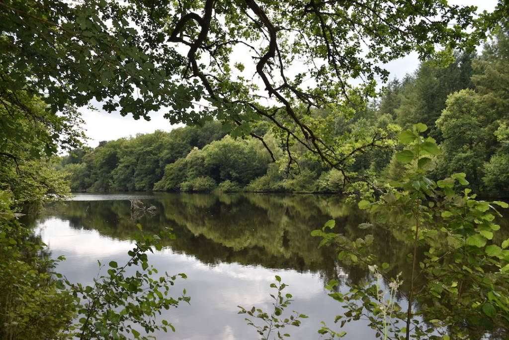 Étangs de Saint-Gence