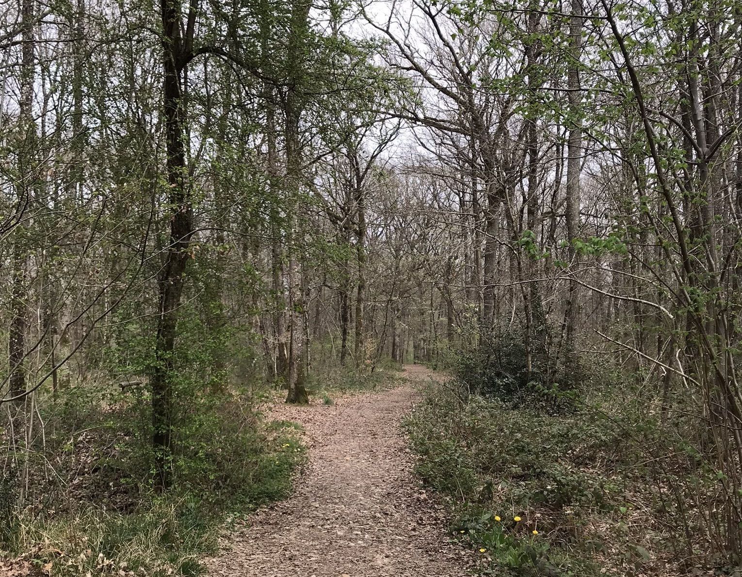 Bois du Grand Aiguillon and Loge