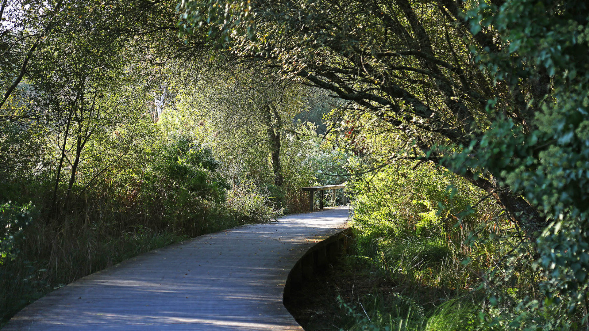 Prés Salés Ouest de la Teste