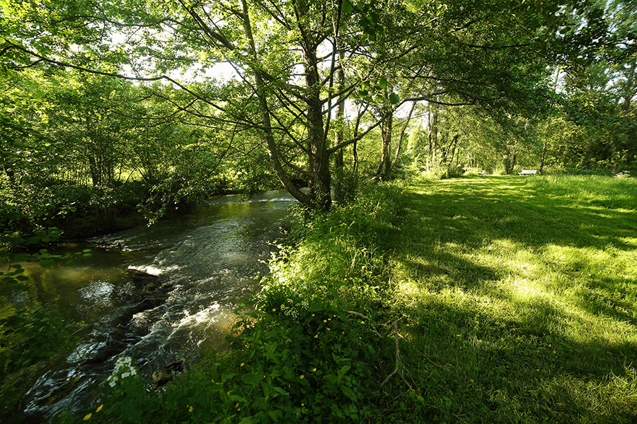 Grand Parc de Lusignan