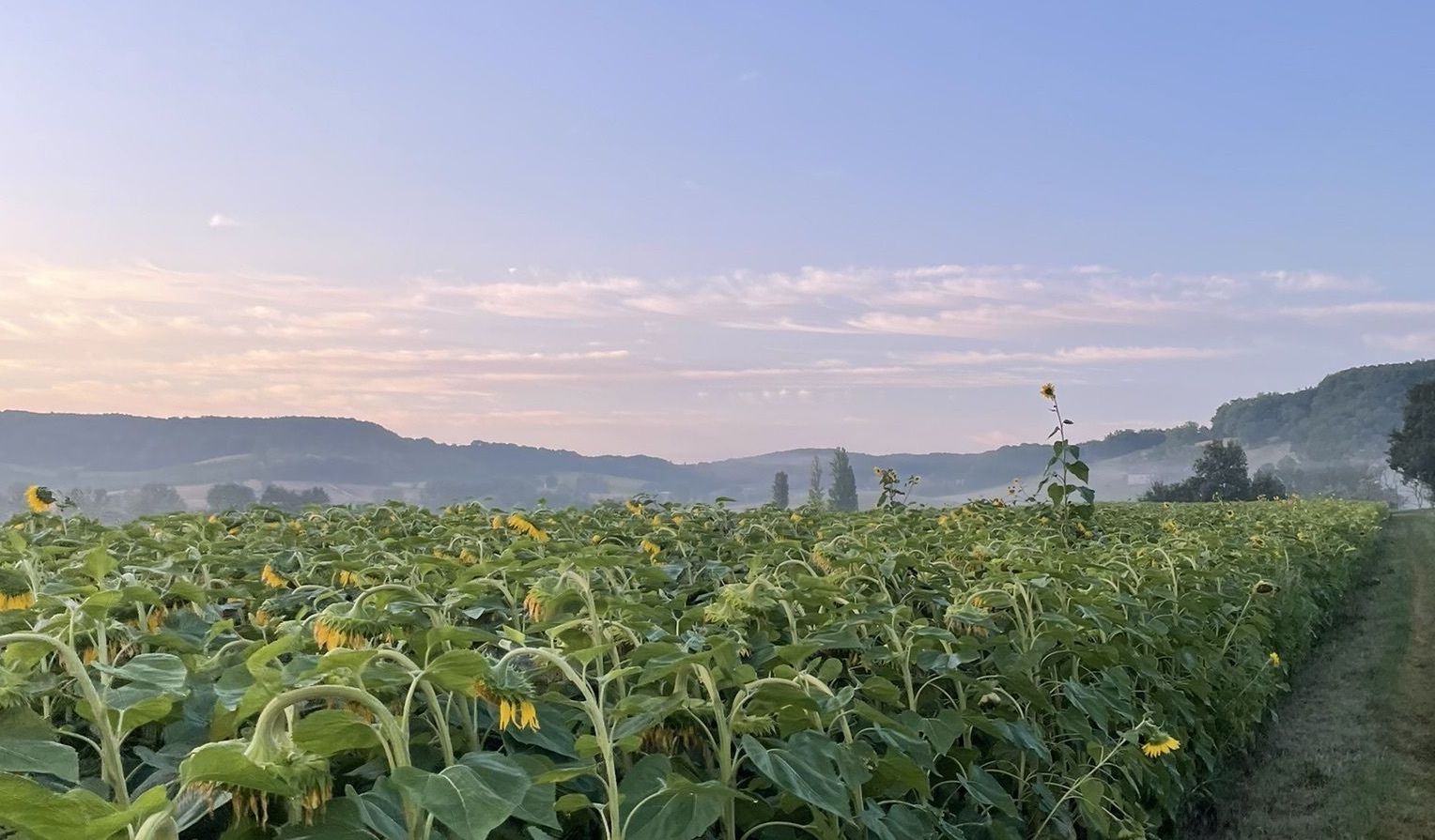 Hamlets of Penne-d'Agenais 