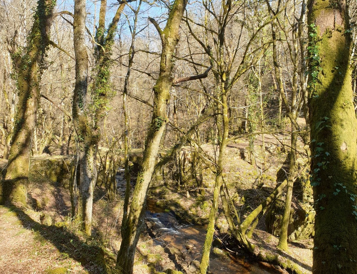 Around Saint-Martial-de-Gimel