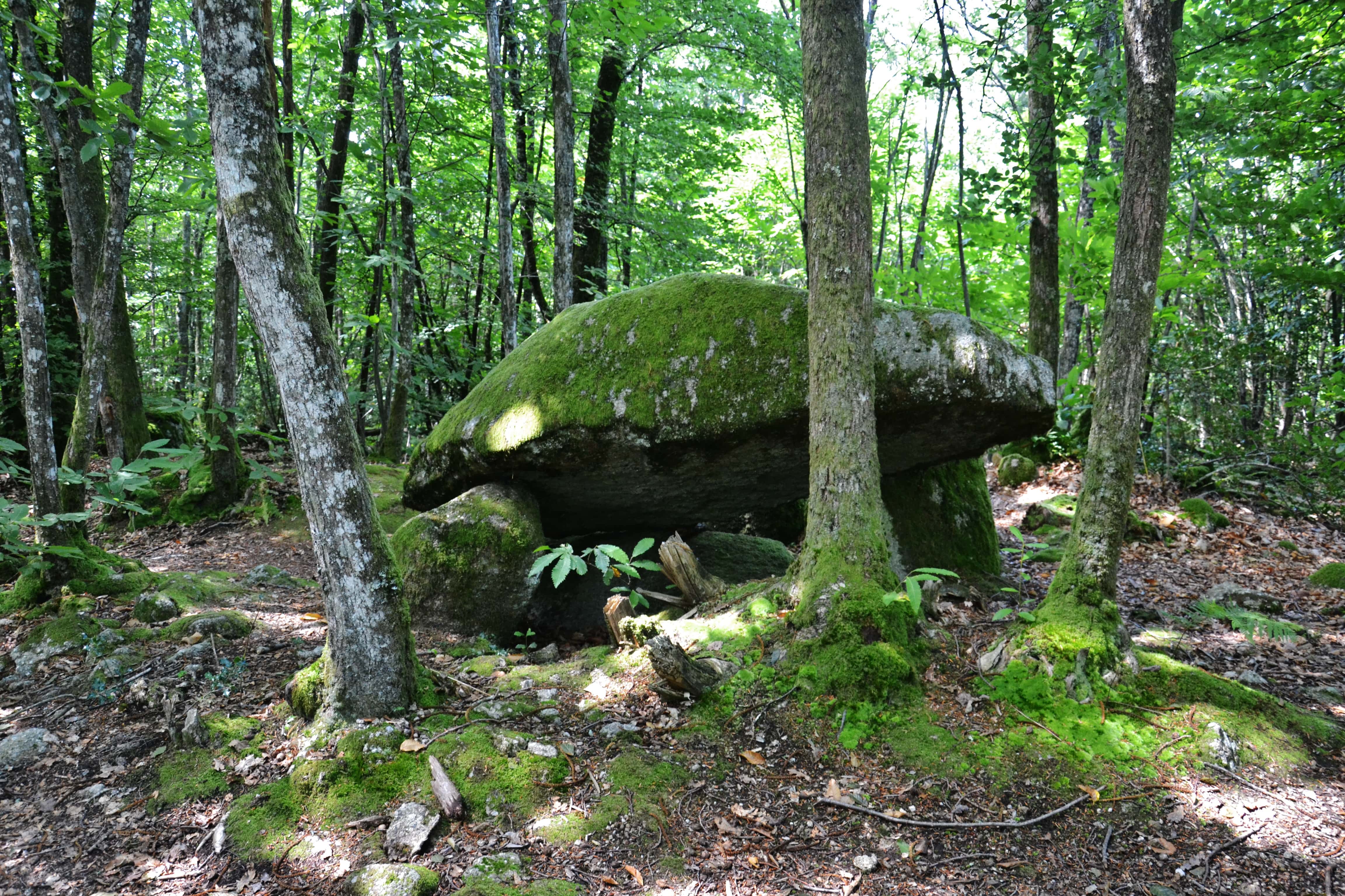 Sentier du Dolmen