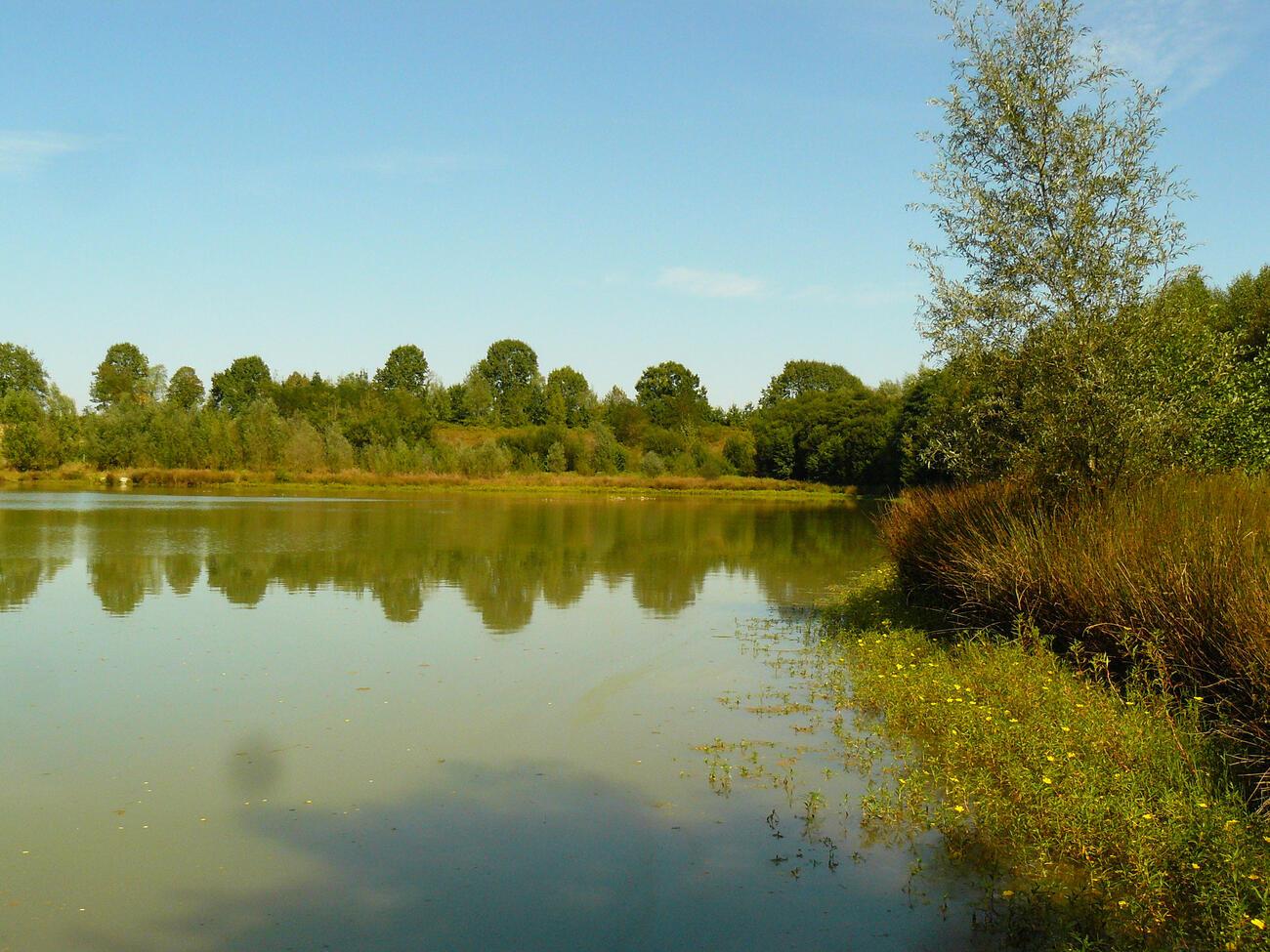 Lac de l'Ayguelongue 