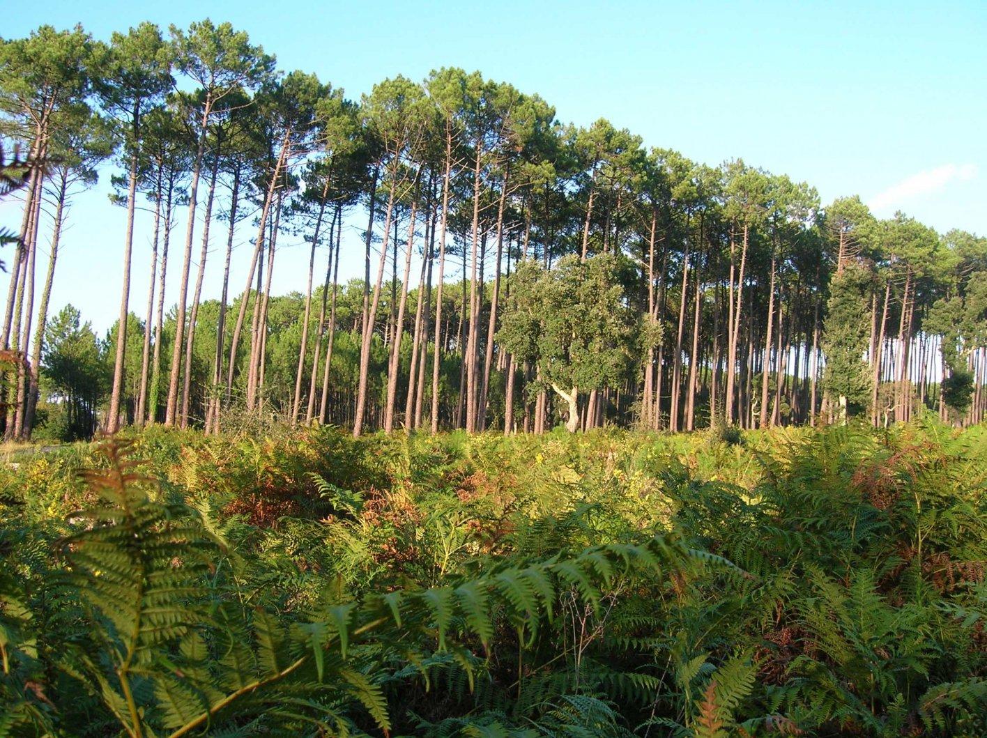 Tuc des Neuf Églises