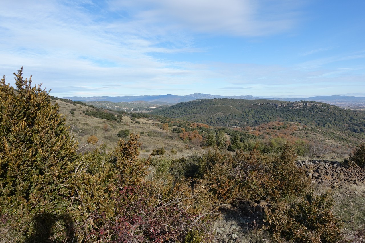 Le long de la Dourbie