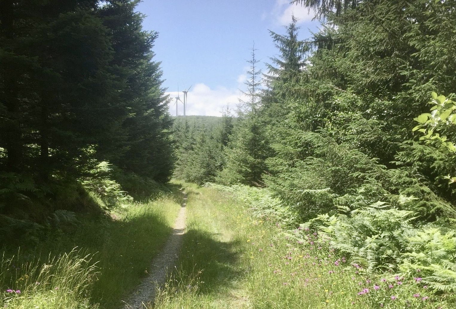 Around Pech de Martinou