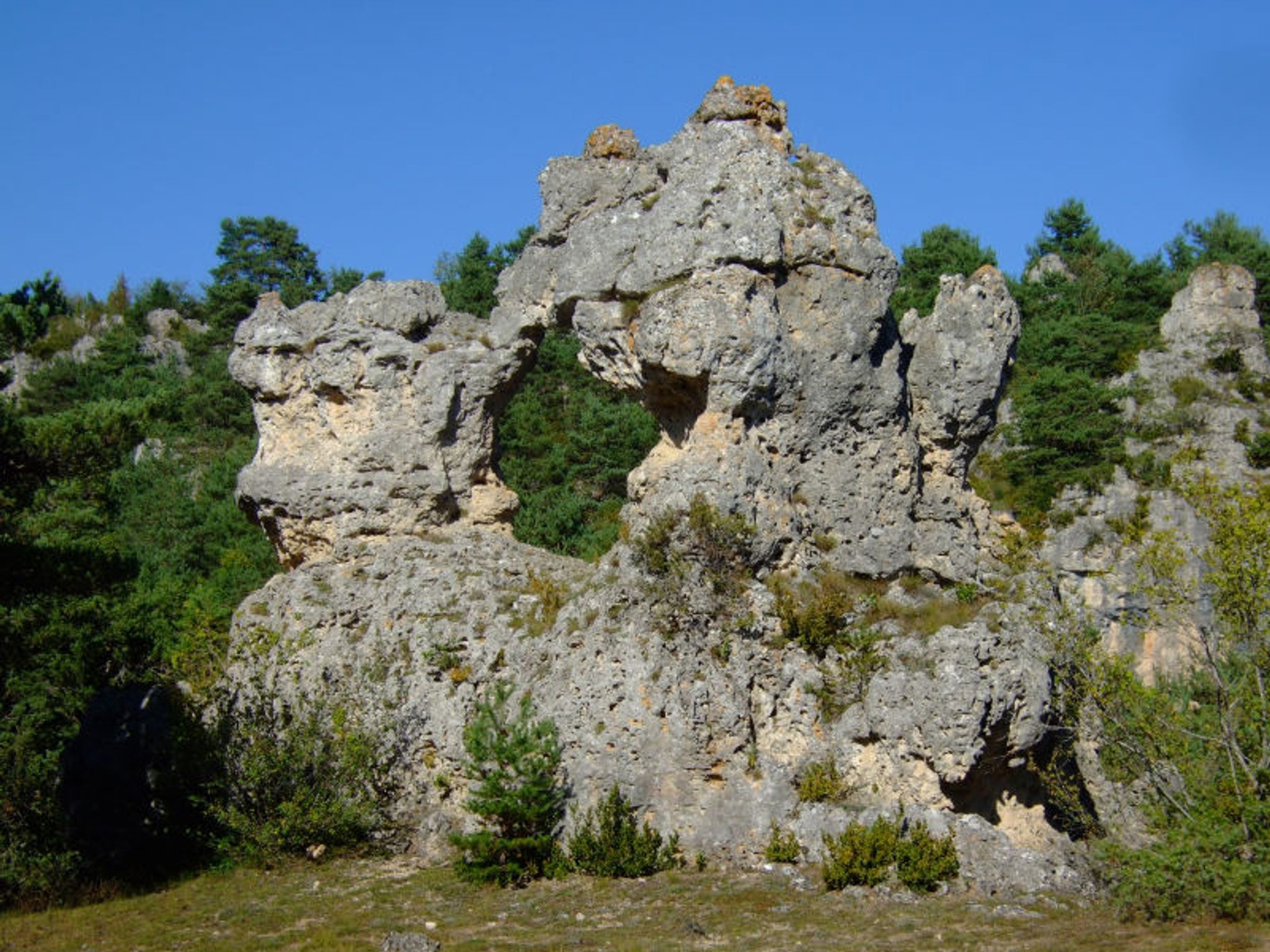 Aven du Valat Nègre