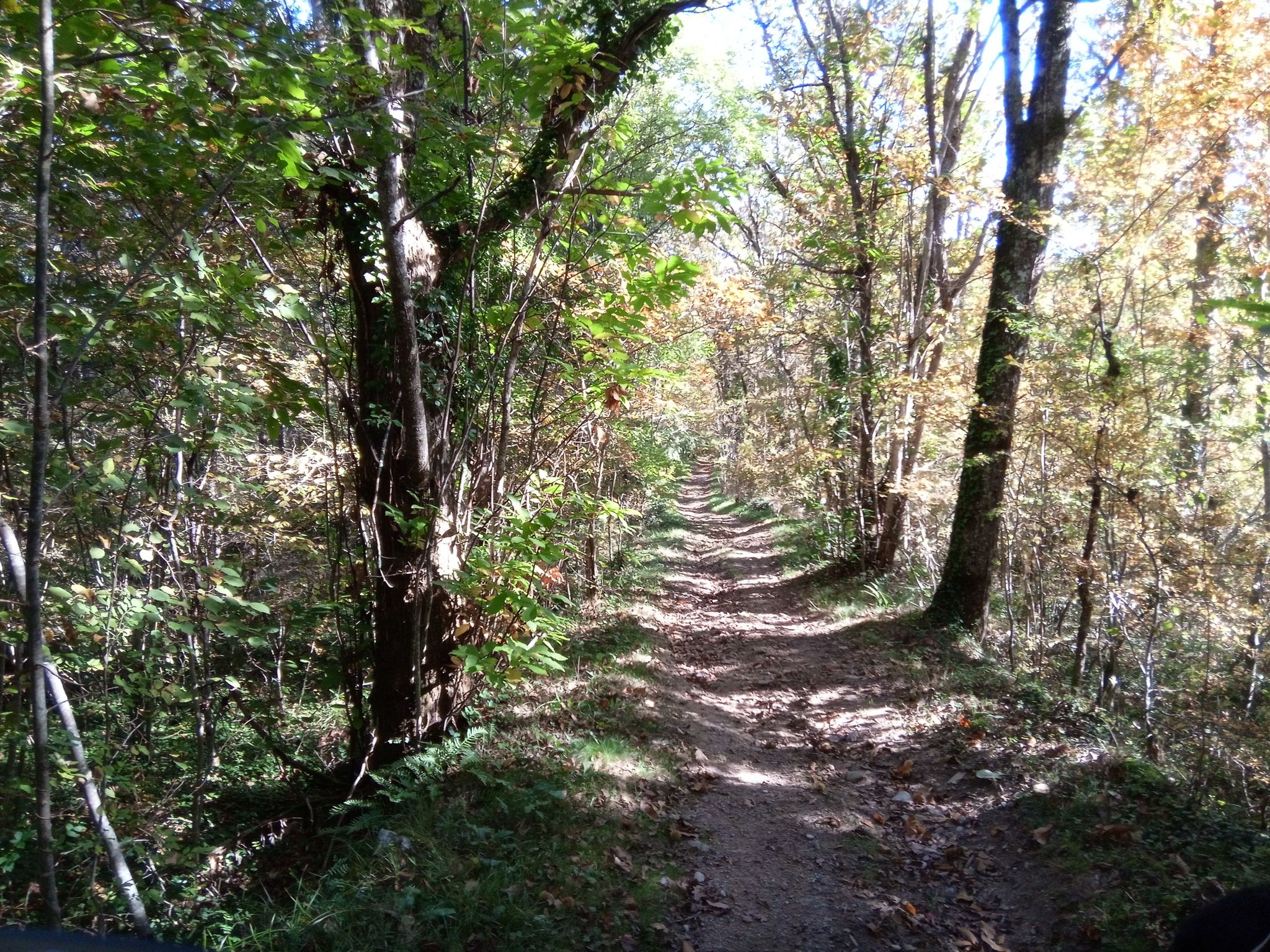 Between Mirandol-Bourgnounac and Le Carelié