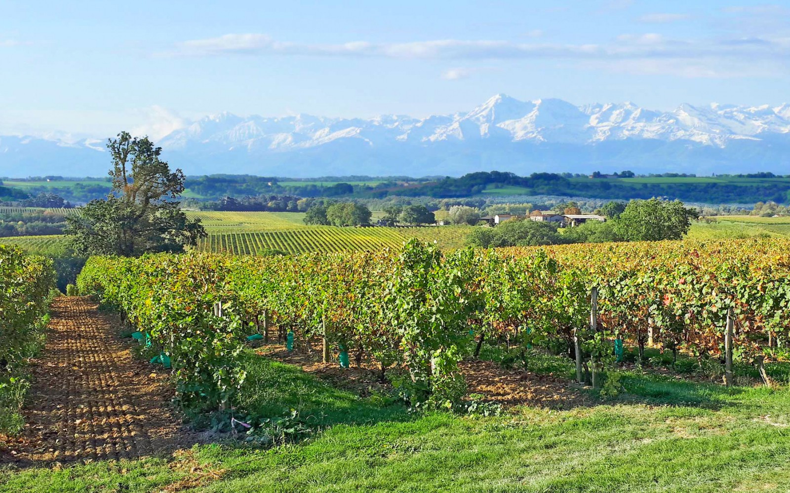 Around Saint-Hilaire