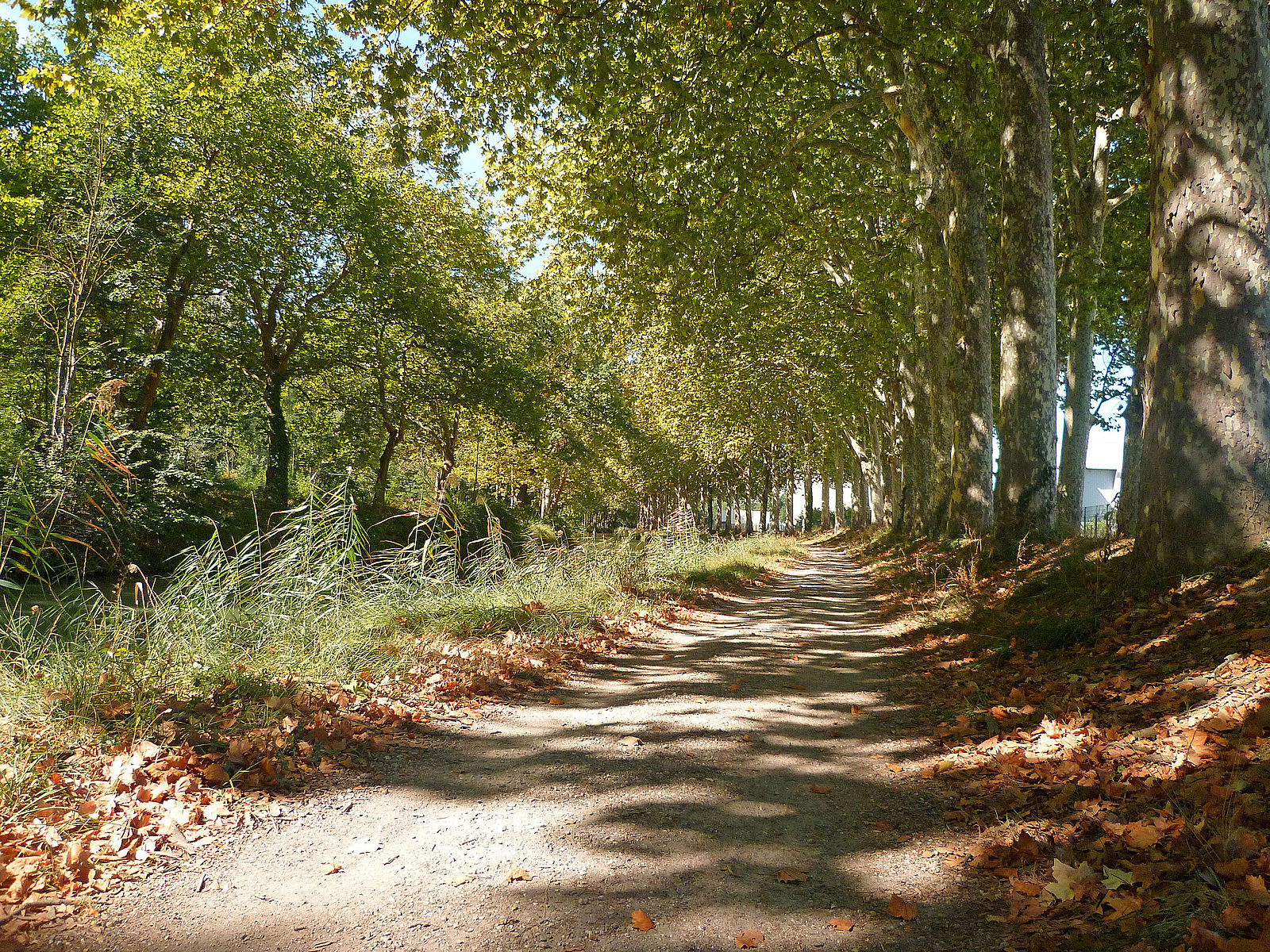 Canal du Midi