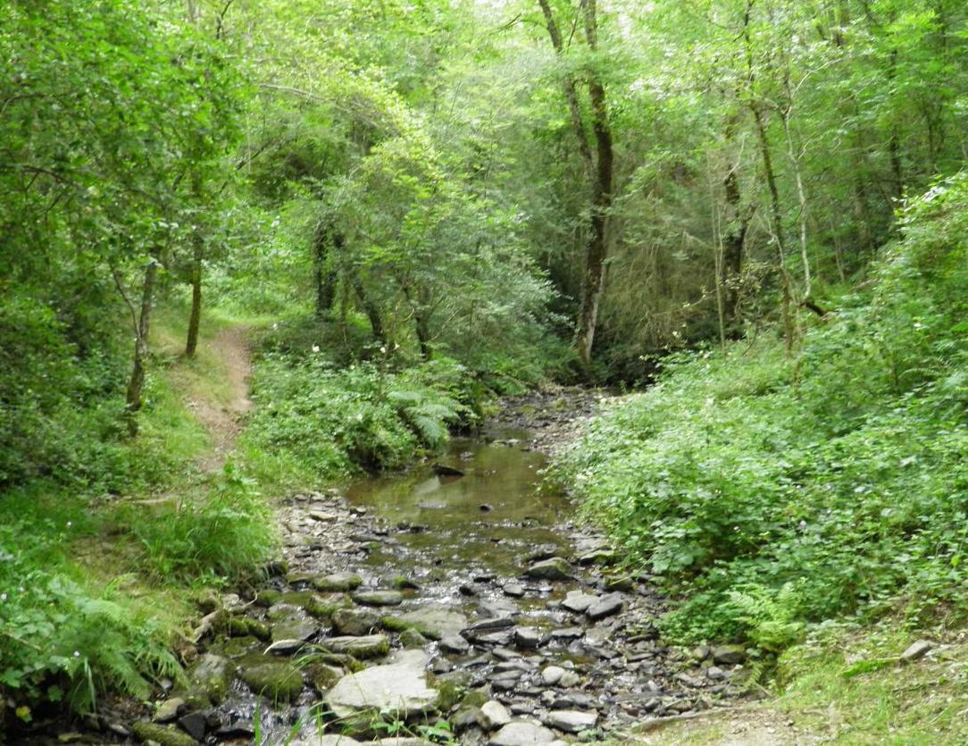 Circuit de l'Andouquette