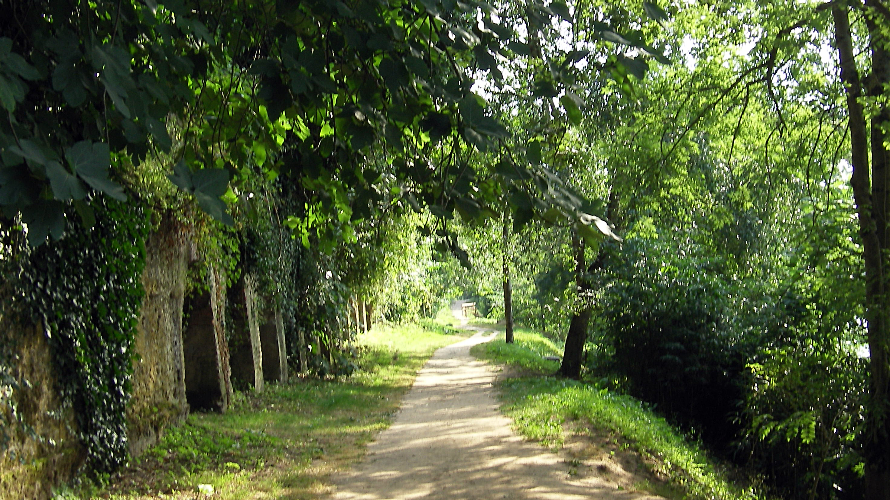 Échappée Verte d'Albi