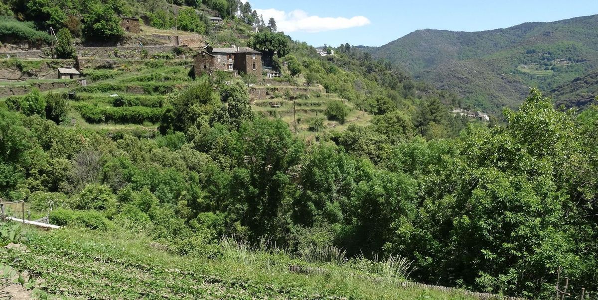 Étape 10 : de Cassagnas à Saint-Etienne-Vallée-Française