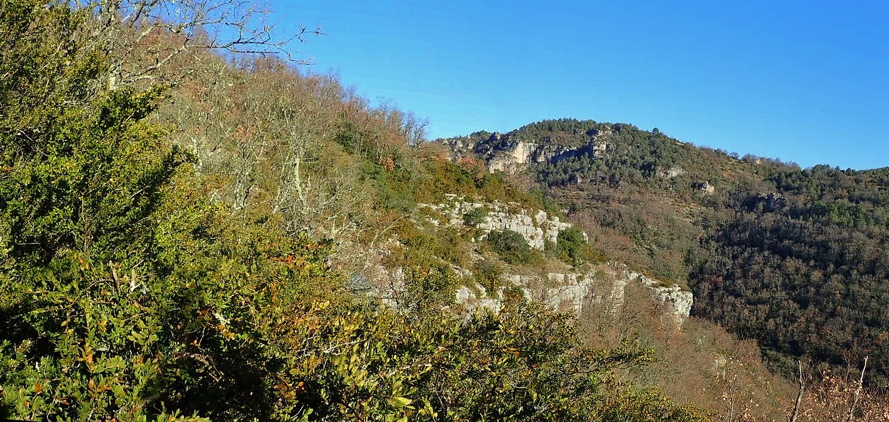 Heights of Massebiau