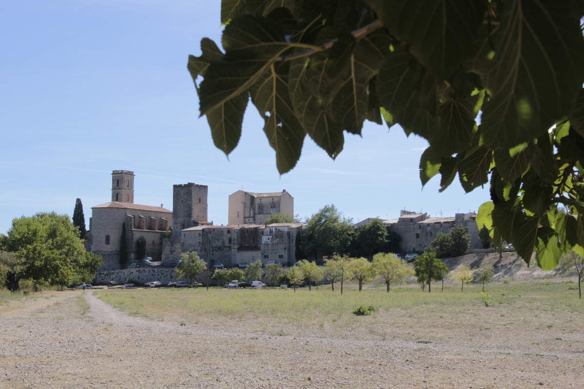 Hauteurs de Cournonterral