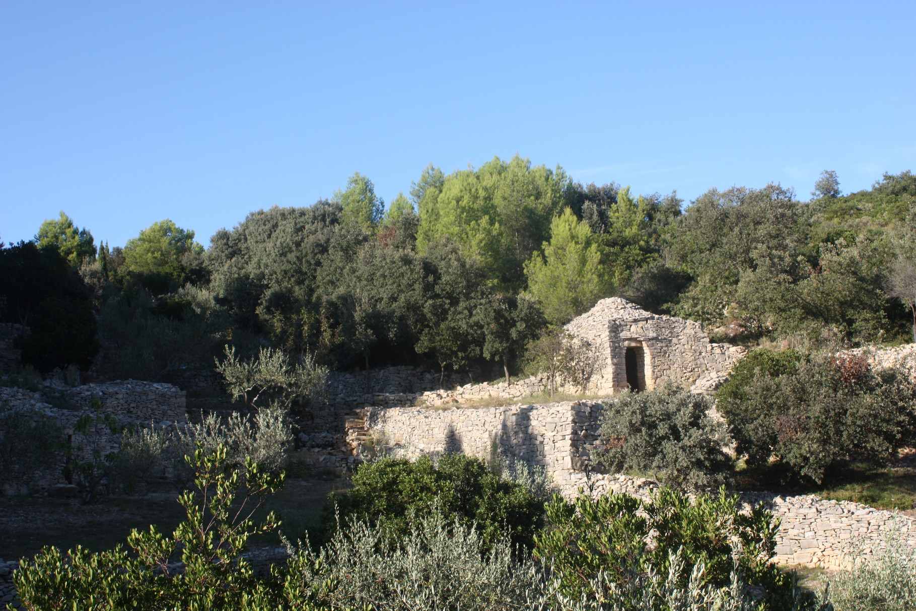 Combe des Bourguignons