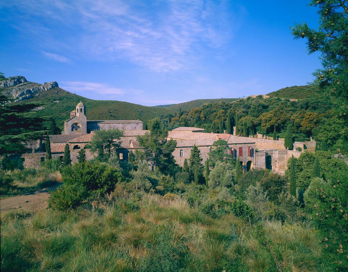 Massif de Fontfroide