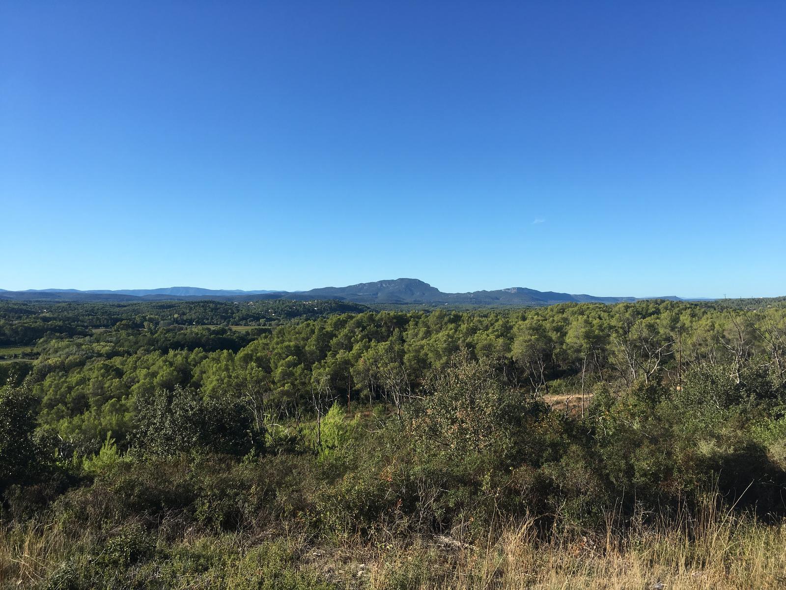 Massif forestier de Baillarguet