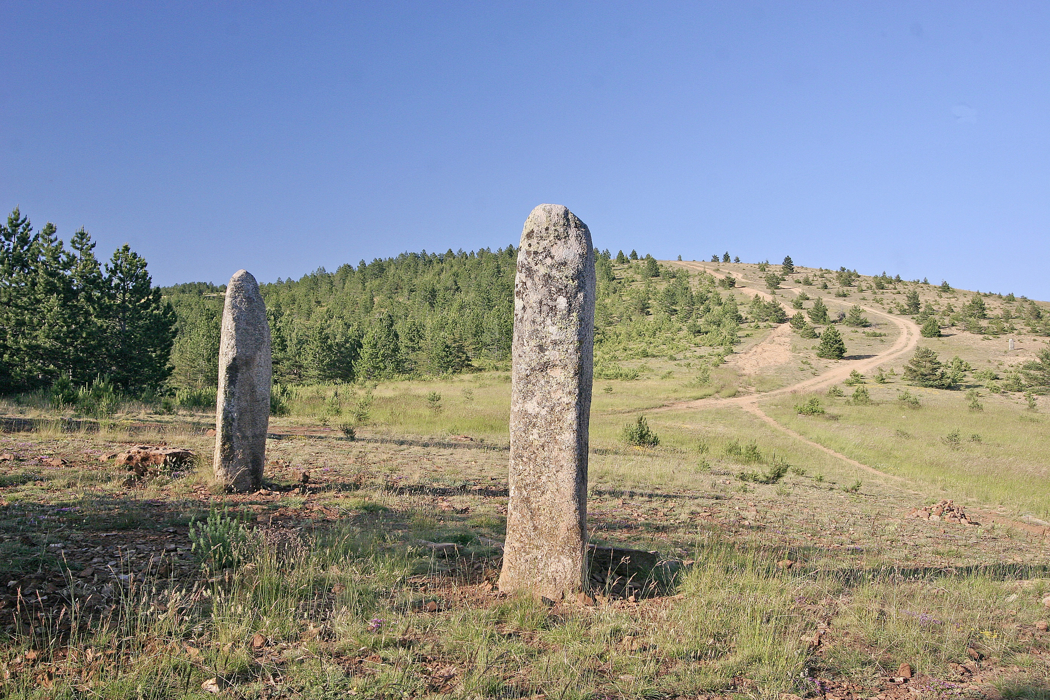 Menhirs de la Fage
