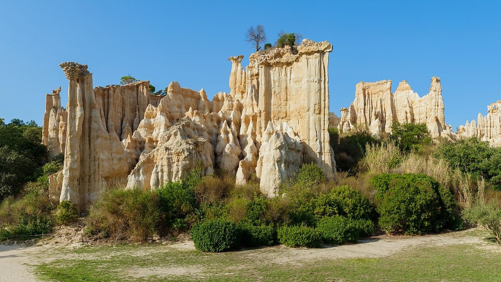 Orgues d'Ille-sur-Têt 