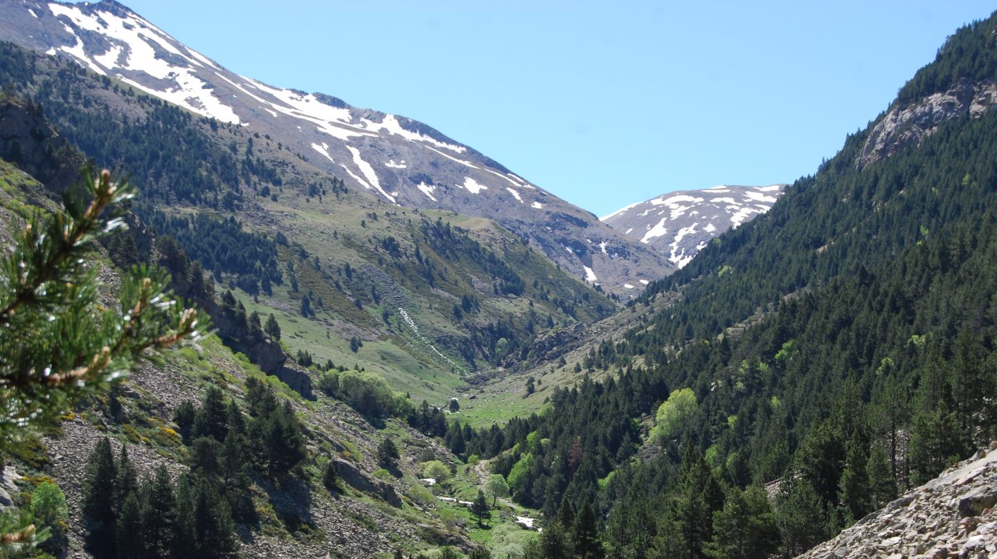 Pic d'Eyne and Pic de Núria