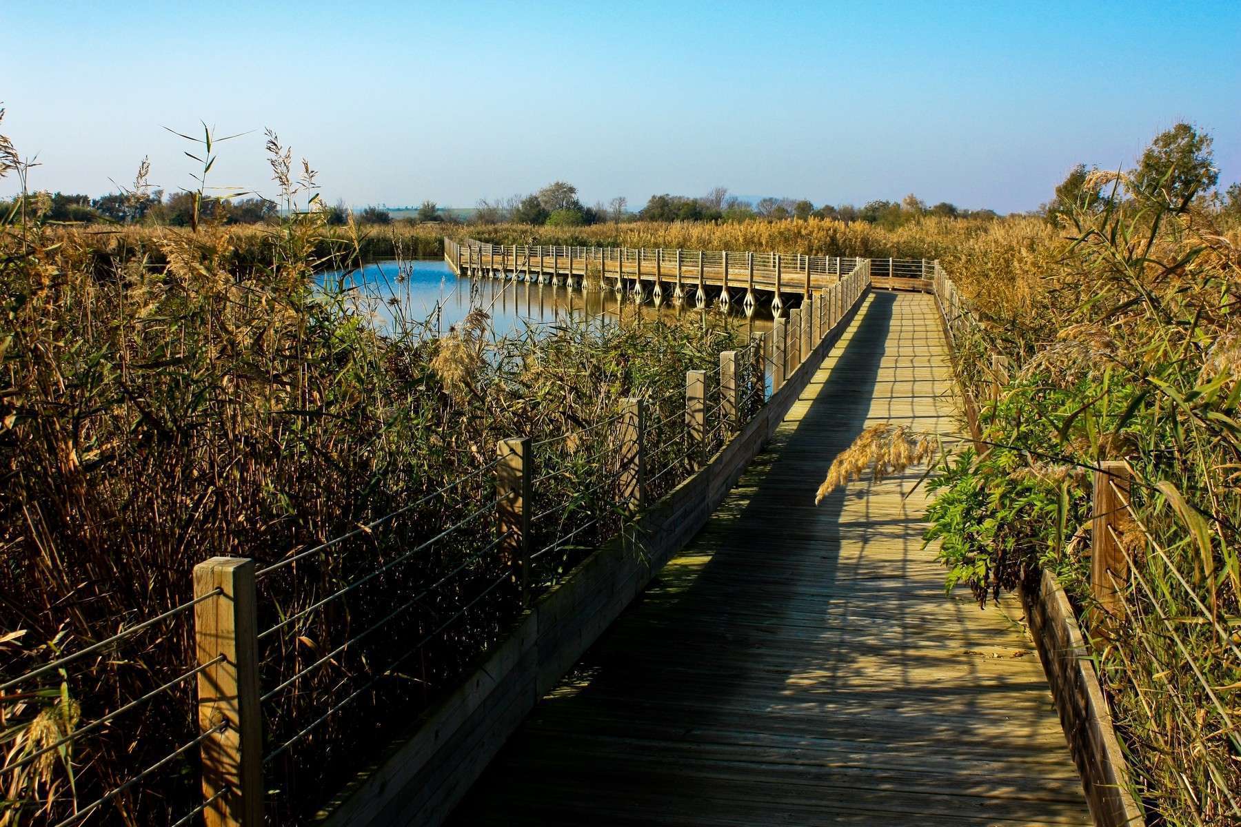 Réserve naturelle du Méjean