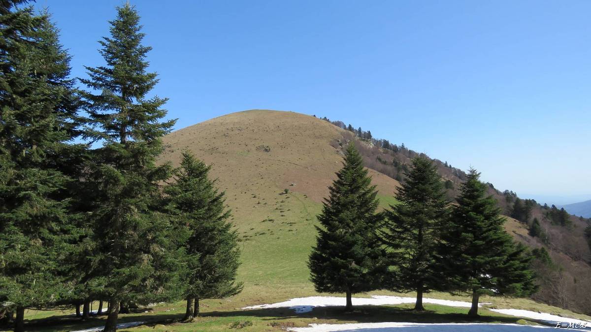 Sommet de l'Oudérou