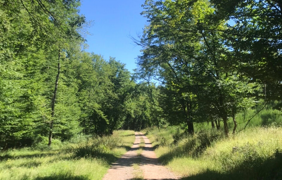 Sentier de la Baronne