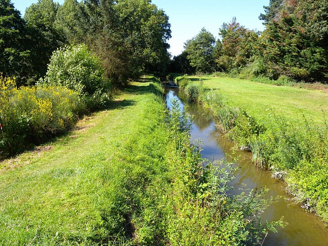 Arcades de la Rigole de Vioreau