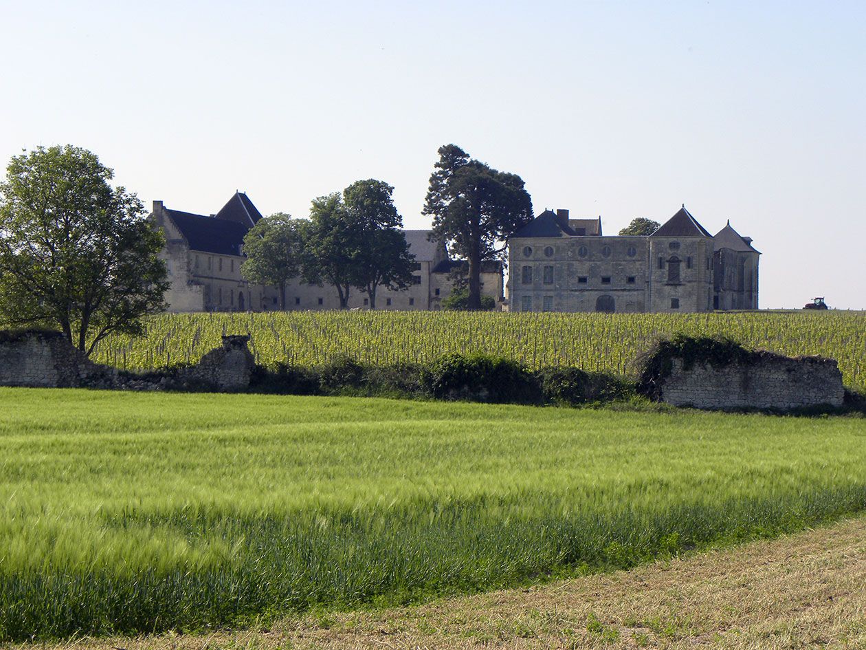 Around Grézillé