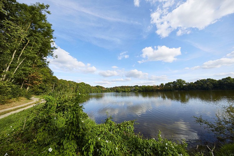 Banks of the Mayenne