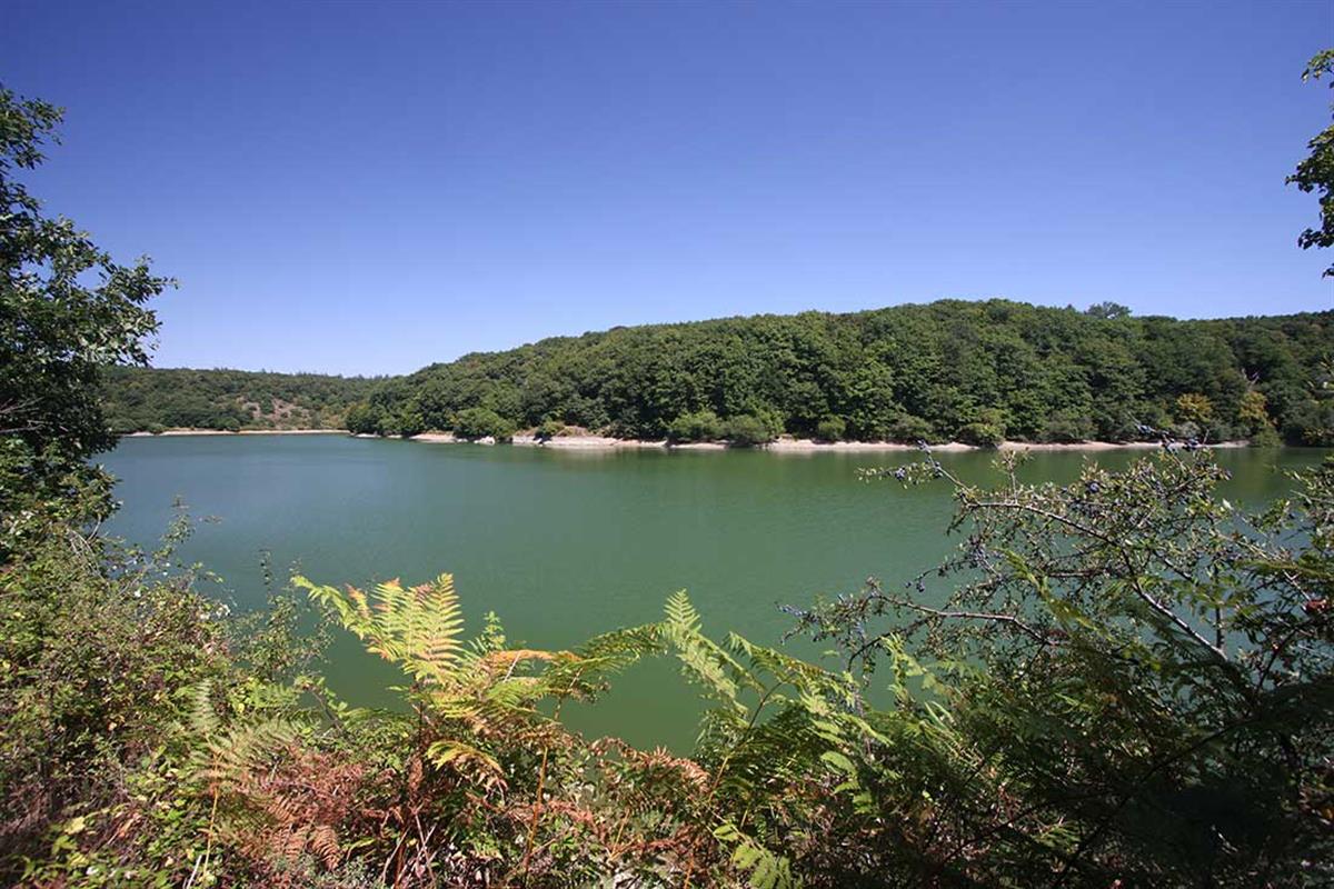 Banks of the Vendée