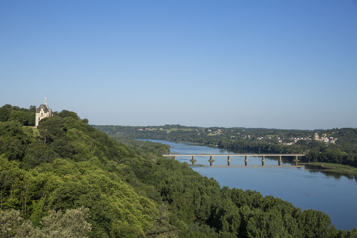 Banks of the Loire near Champtoceaux