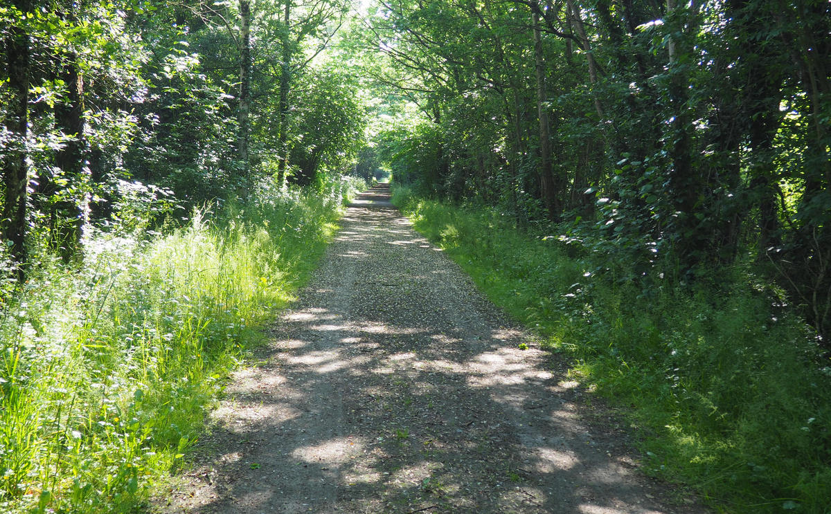 Circuit d'Anthenaise