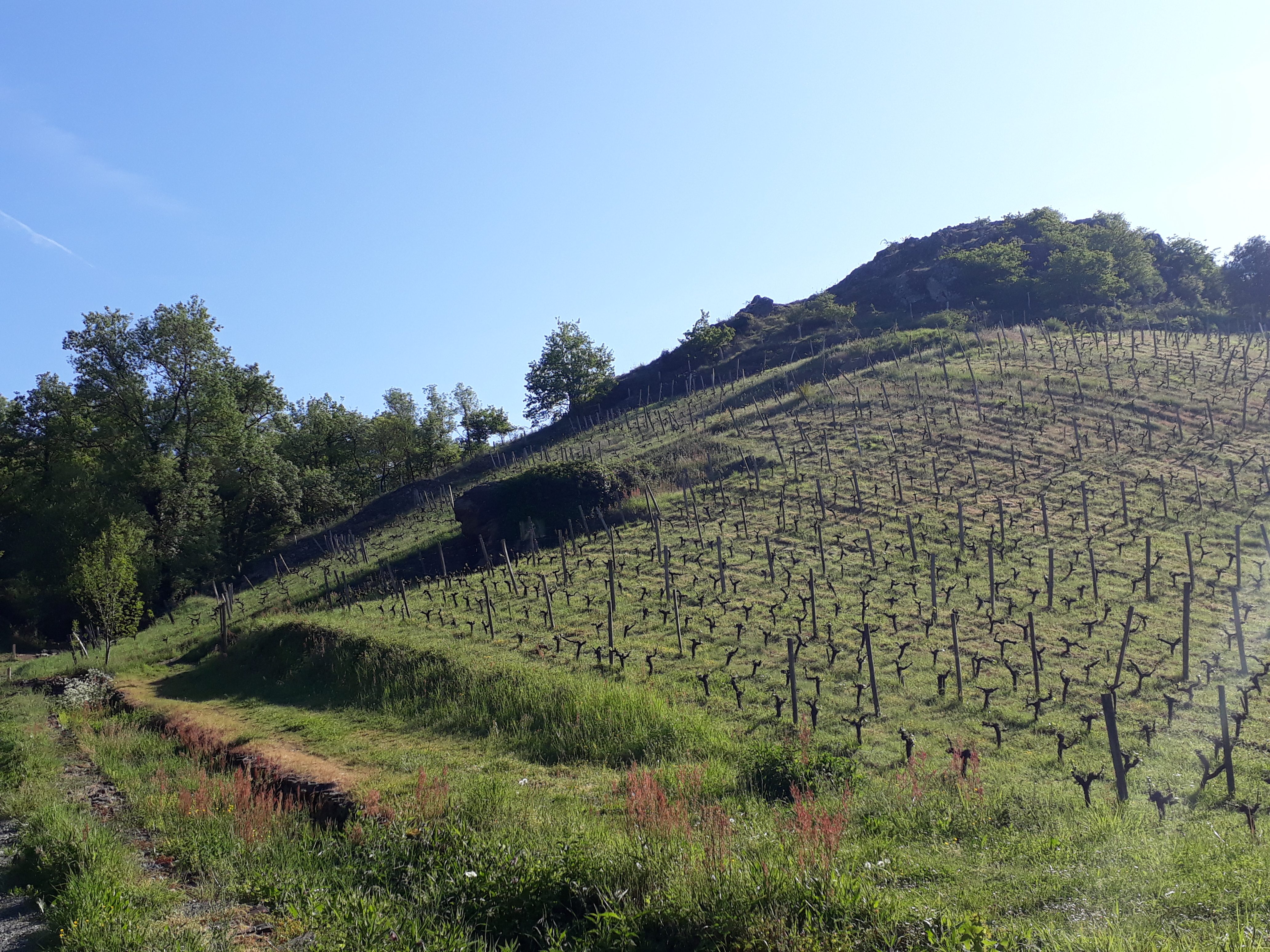 Le Pont-Barré from Le Breuil