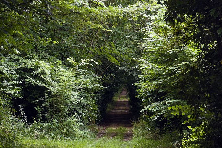 Circuit de la Pihoraye